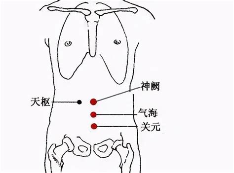 氣海關元位置